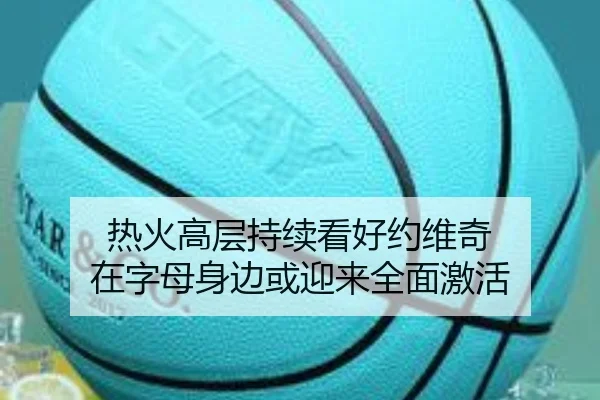 热火高层持续看好约维奇 在字母身边或迎来全面激活