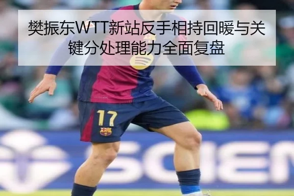 樊振东WTT新站反手相持回暖与关键分处理能力全面复盘